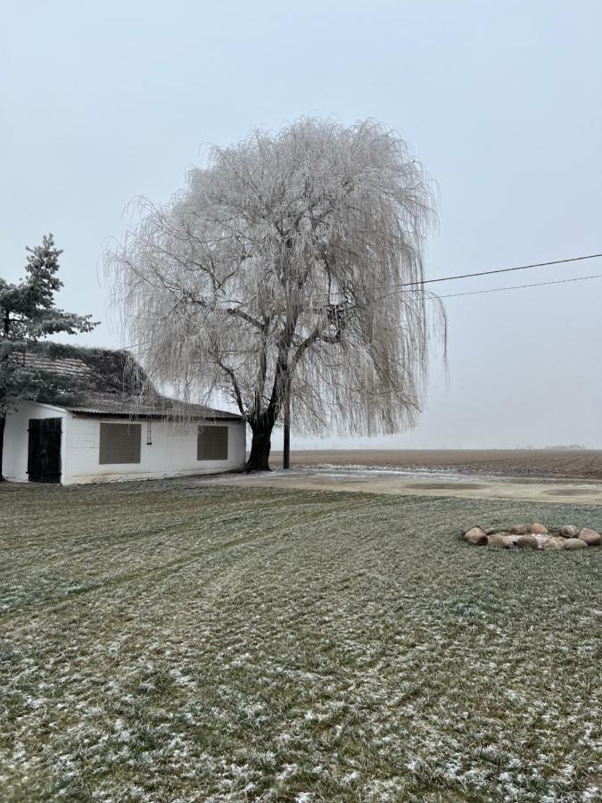 Rusiborek Slow Murzynowo Koscielne Exterior photo
